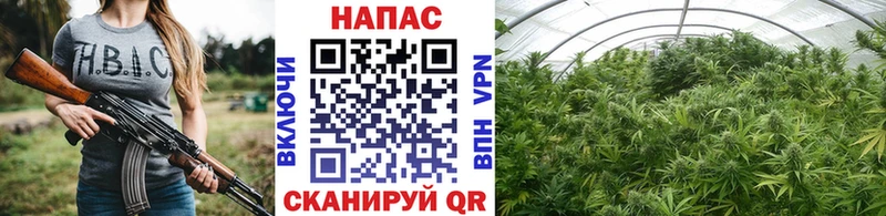 Канабис VHQ  магазин продажи   Курск 